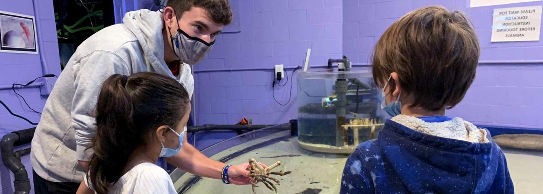 U N E 动物行为 and Marine 科学 student Will Szumita helps elementary children at an aquarium during his summer 实习